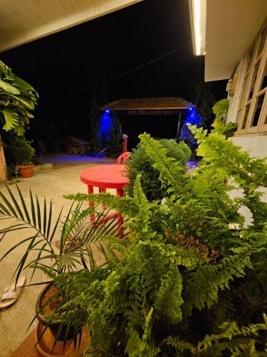 Sakleshpur Home Stays in Sakleshpur