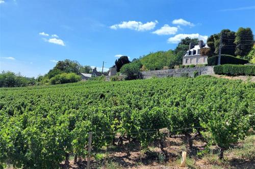 附近景點, Petit Sentier / Hôpital Trousseau (Petit Sentier / Hopital Trousseau) in 茹埃萊圖爾