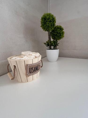 Regina Elena Regina Elena