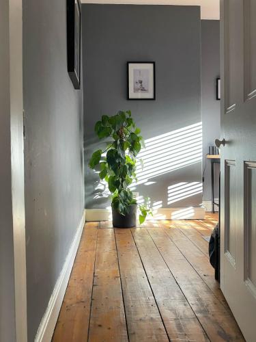 Townhouse in trendy suburb of Hoole, Chester (foto 4)