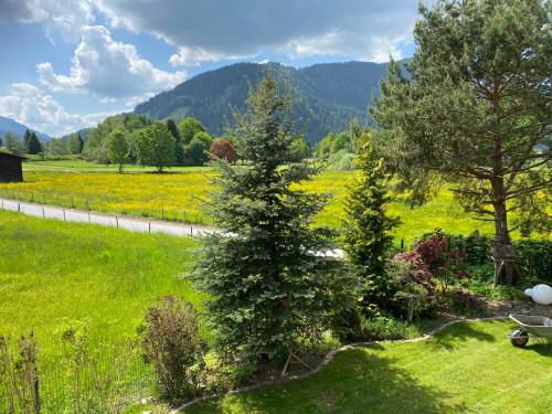 Apartments Golfweg Kitzbühel