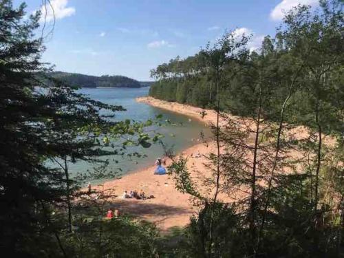 Logement idéalement situé sur la voie verte (Logement idealement situe sur la voie verte) in Raon-l'Etape