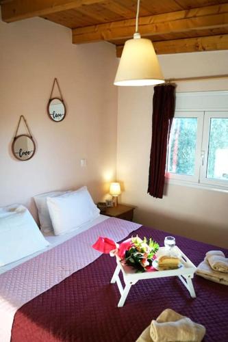 Taki's & Anna's gîte à louer Préveli