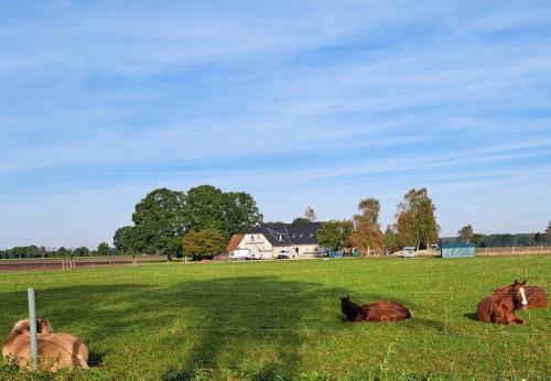 Landhaus Seemann Ferienwohnungen im Grünen