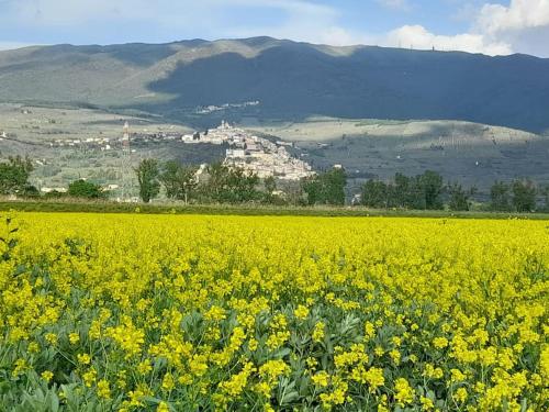 Una casa nel grano: Casa Luciola in تريفى