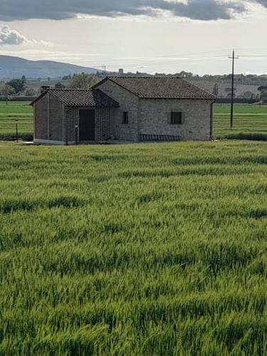 Una casa nel grano: Casa Luciola in تريفى