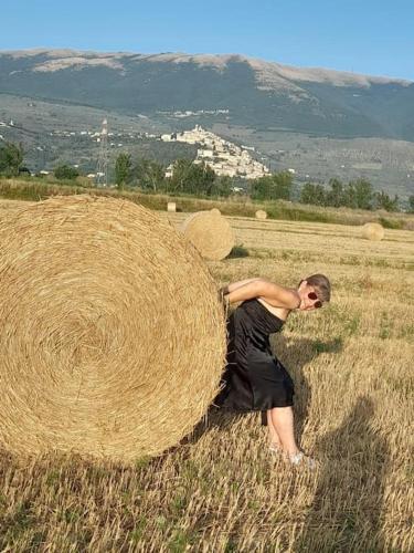 Una casa nel grano: Casa Luciola in تريفى