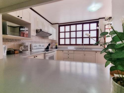 Kitchen, Sabana Studios in Mata Redonda