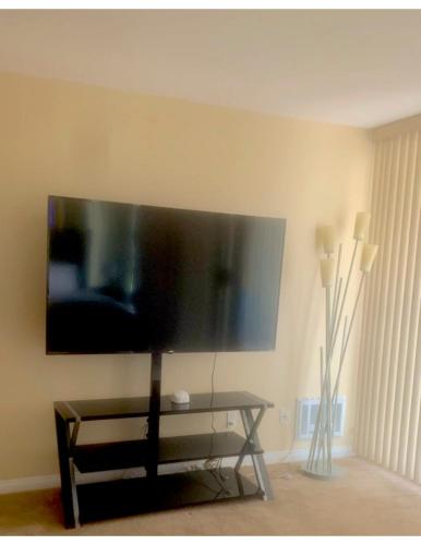 Coastal Paradise Retreat Stylish Oceanfront Condo thumb 3
