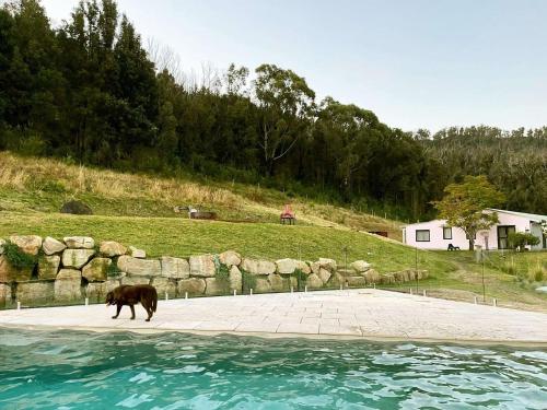 Moosewood House and Cottage, Kangaroo Valley