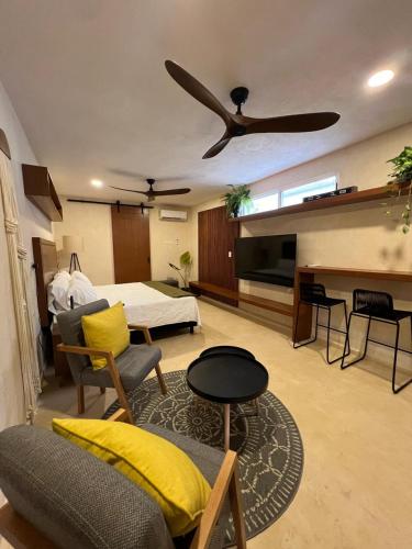 Luxury Boutique Studio, Мерида