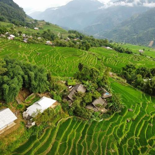 Mao Sapa Trekking and Homestay - 주변 환경
