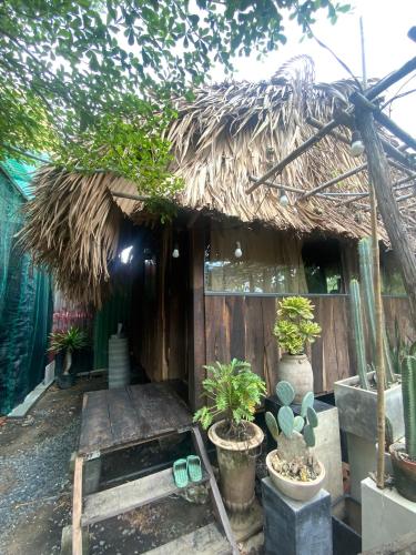 Cactos Bar & Homestay