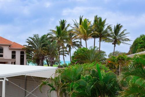 Driftwood on the Beach