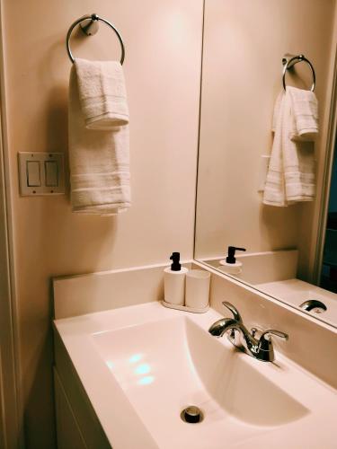 4BR basement near Port Mann Bridge in Surrey, Canada