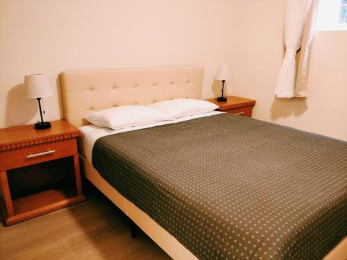 4BR basement near Port Mann Bridge in Surrey, Canada