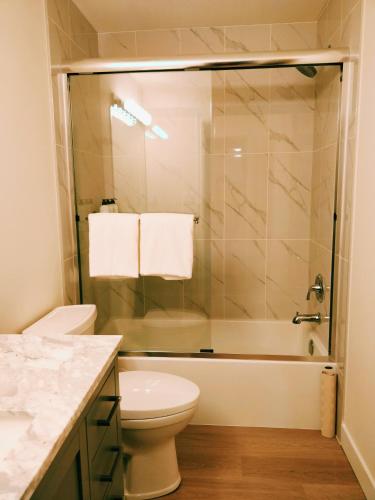 4BR basement near Port Mann Bridge in Surrey, Canada