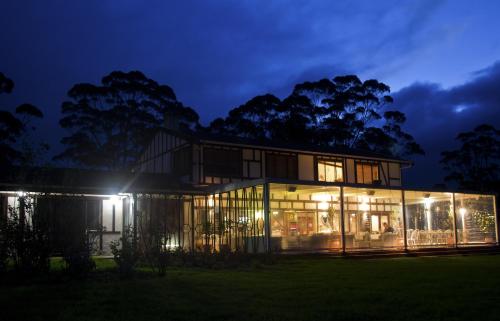 Castelli Vineyards Denmark