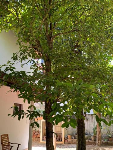 Taman, Dae Farm Resort in Halloluwa