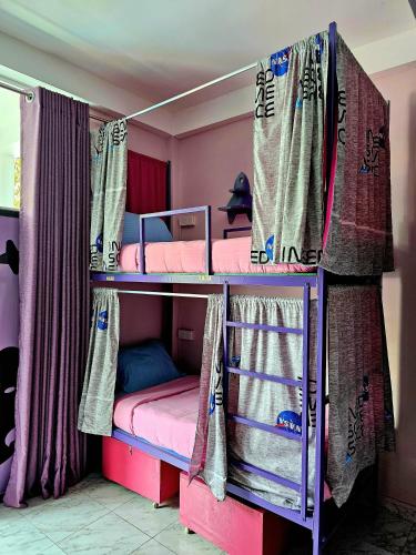 8 bunk beds