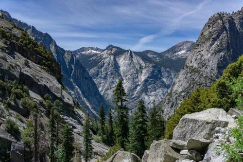 Sequoia Splendor, inside Kings Canyon NP by Visitors Center