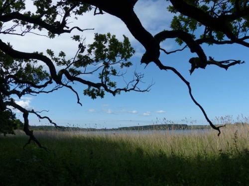 Behagliches Reetdachhaus Eibe 1 Behagliches Reetdachhaus Eibe 1