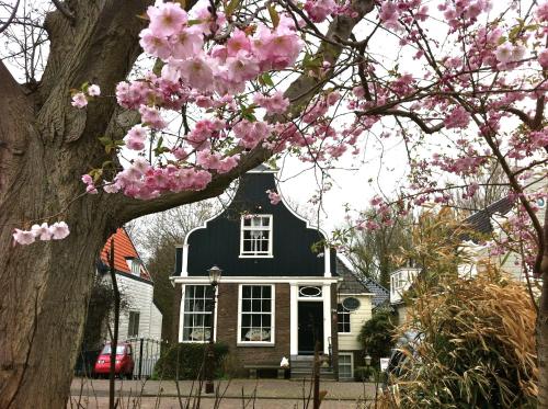 Holiday Cottages In Amsterdam Gabinohome