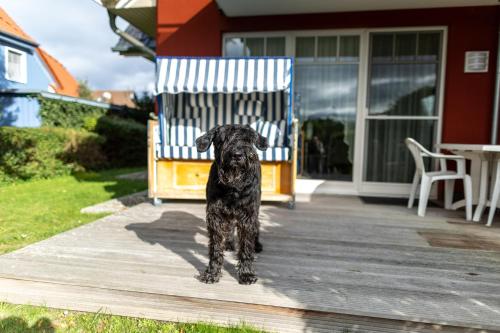 Muhlenstr 19 Wg 2 in Zingst