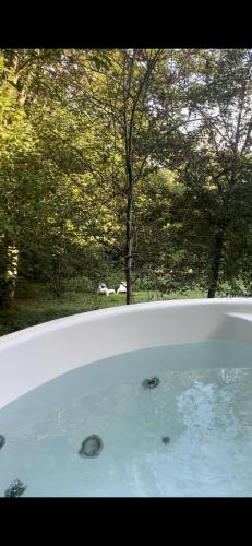 La Canopée des Arbres, Anna chambre d'hôte Buisson