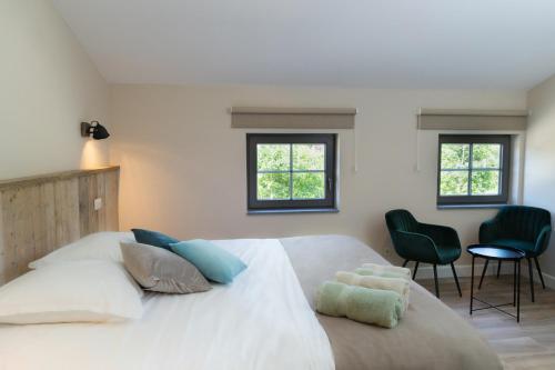 B & B De Romeinse Katzei, Borgloon (foto 9)