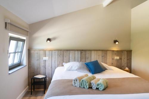 B & B De Romeinse Katzei, Borgloon (foto 10)