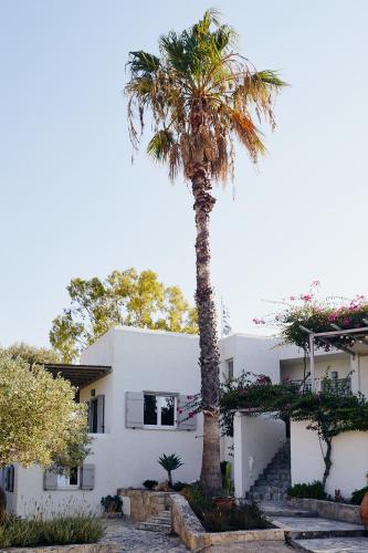 A szálláshely kívülről, Villa Adara, splendide villa avec piscine et vue mer in Kipseli