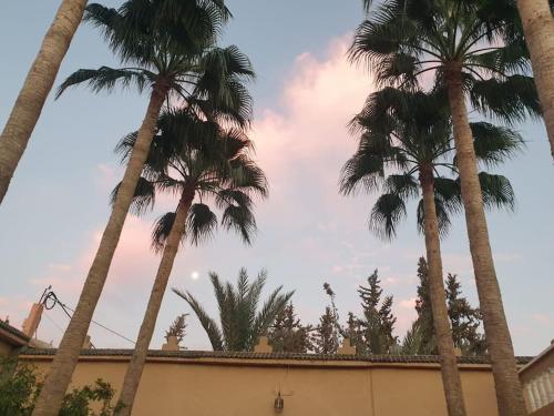 Riad Elaissi Riad Elaissi