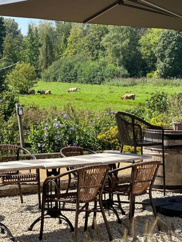 B & B De Romeinse Katzei, Borgloon (foto 2)