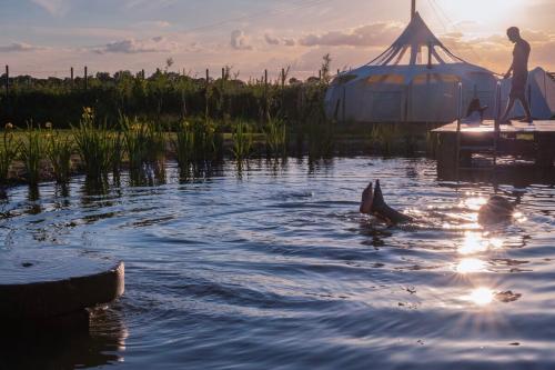 Moat Island Glamping