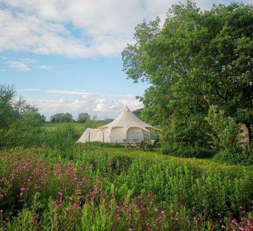 Moat Island Glamping