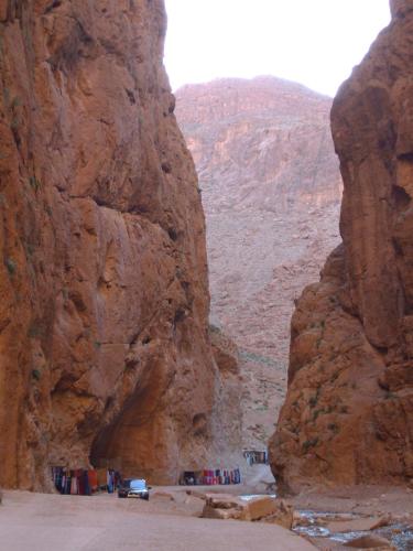 棕榈树宾馆 棕榈树宾馆