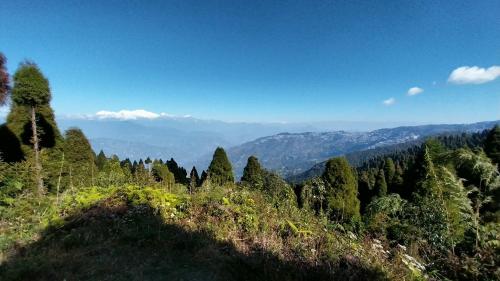 Surrounding environment, Dumfu Homestay in Ghoom Pahar Forest