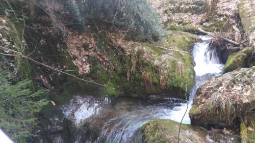 Wickys Igelnest Wickys Igelnest