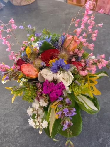 Wickys Igelnest Wickys Igelnest