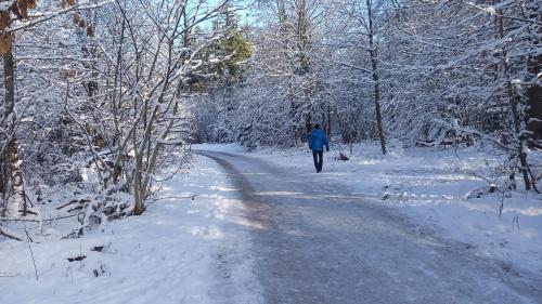 Wickys Igelnest Wickys Igelnest