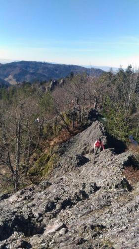 Wickys Igelnest Wickys Igelnest