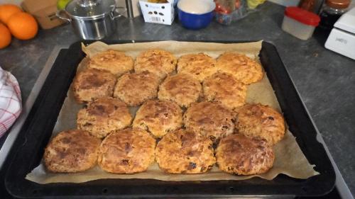 Wickys Igelnest Wickys Igelnest