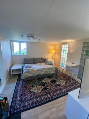 Mountain view Apartment near Oslo: bedroom, lounge, kitchen and bathroom. Flat in Rykkinn