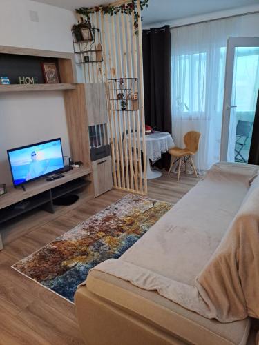 DMS apartamentVlaicu - Apartment - Arad