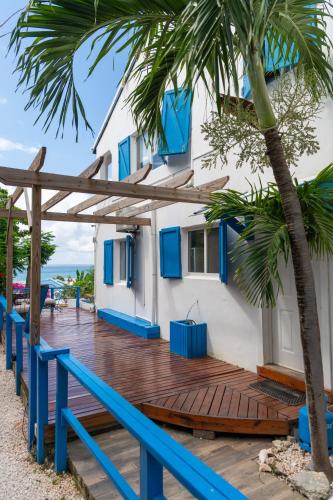 Blue Dream Apartments in コールバーイ