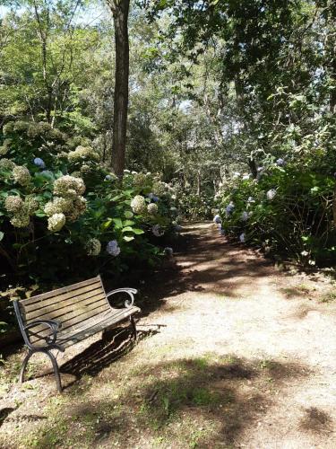 Apartamentos Mar y Mar Agroturismo - image 7