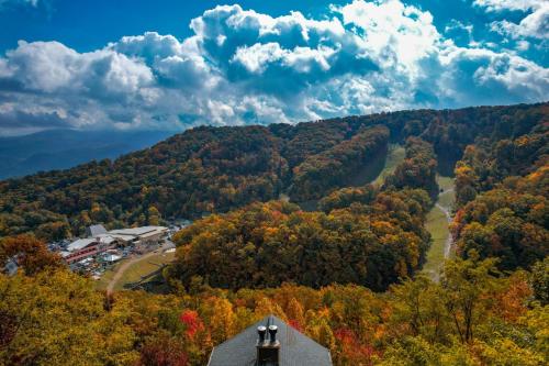 Bears on Skis, Gatlinburg (Foto 8)