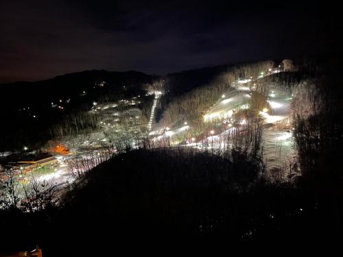 Bears on Skis, Gatlinburg (Foto 10)