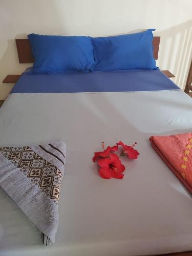 2 double beds, 2 twin beds, 1 sofa bed